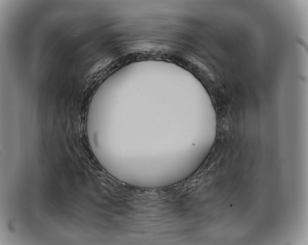 X0000096730869200802051126