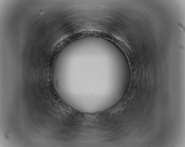 X0000096730870200802051126