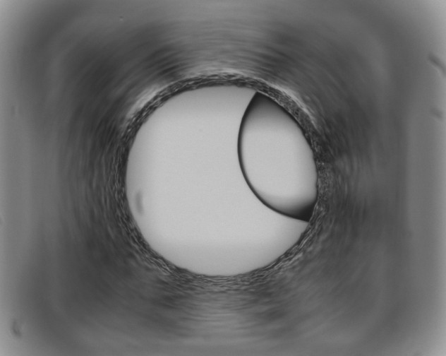 X0000096730871200802051126