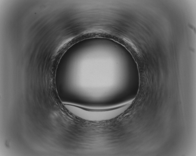 X0000096730872200802051126