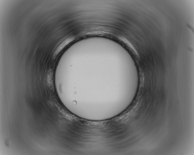 X0000096730874200802051126