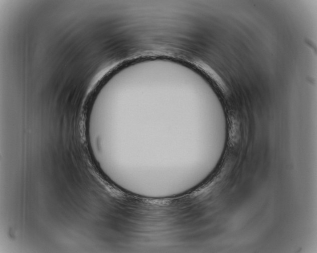 X0000096730878200802051126