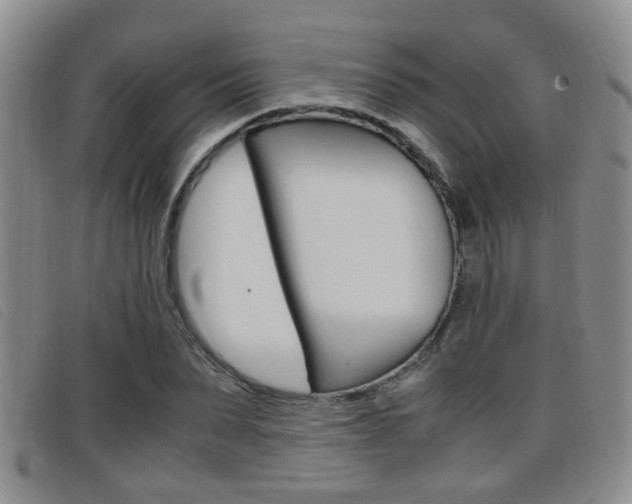X0000096730879200802051126
