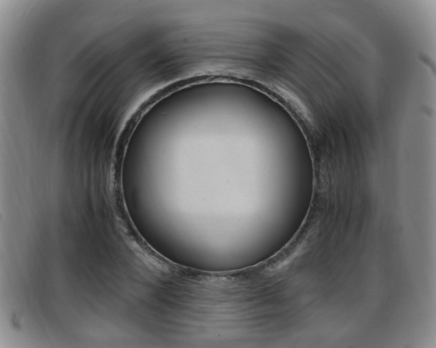 X0000096730880200802051126
