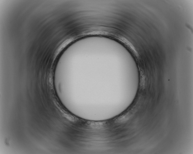 X0000096730882200802051126