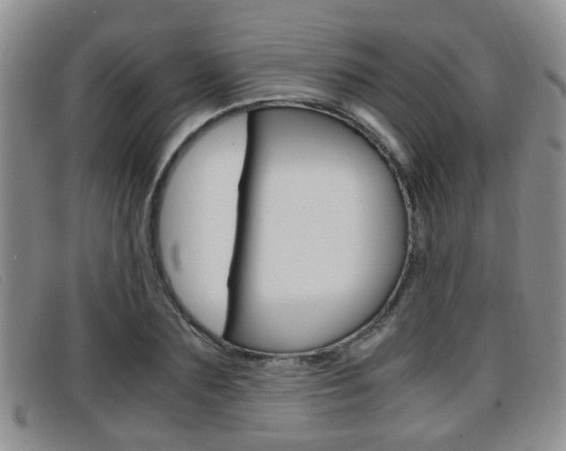 X0000096730883200802051126