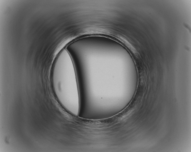 X0000096730885200802051126