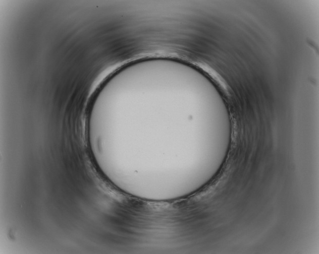 X0000096730886200802051126