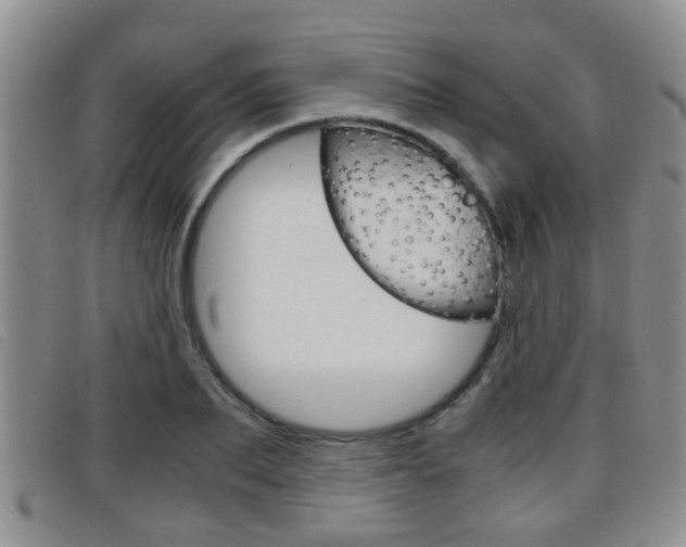 X0000096730887200802051126