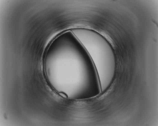 X0000096730888200802051126
