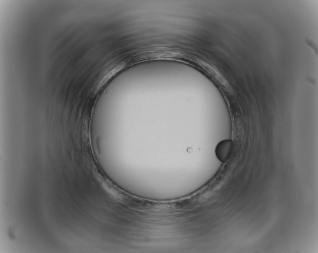X0000096730889200802051126