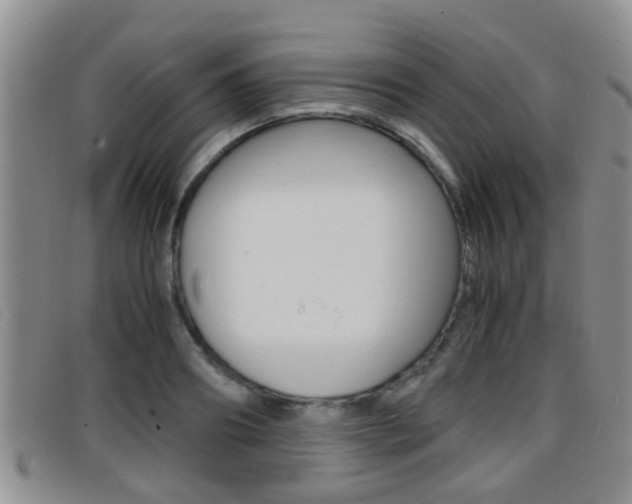 X0000096730890200802051126