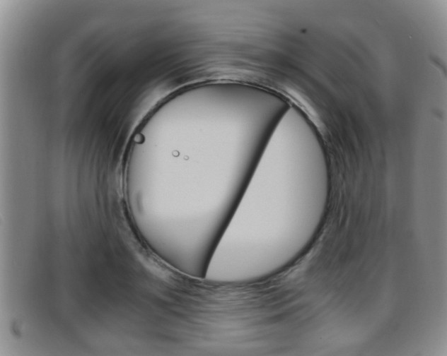 X0000096730891200802051126