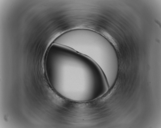 X0000096730892200802051126