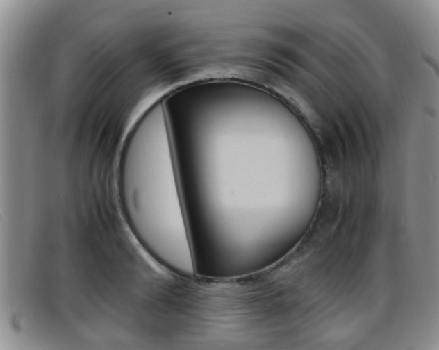 X0000096730894200802051126
