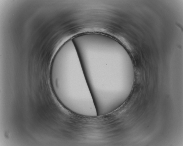 X0000096730895200802051126