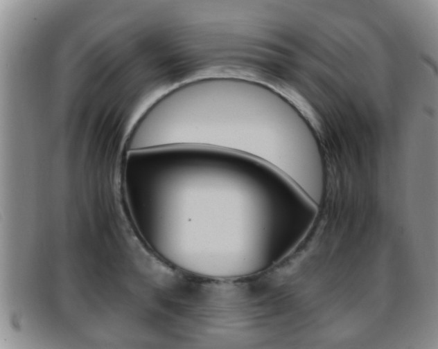 X0000096730896200802051126