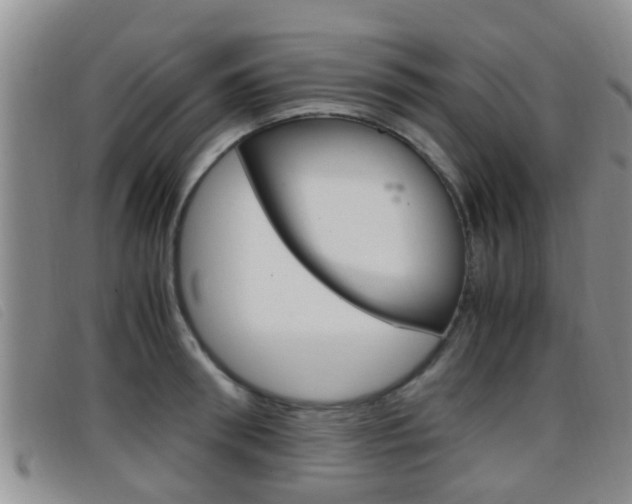 X0000096730898200802051126