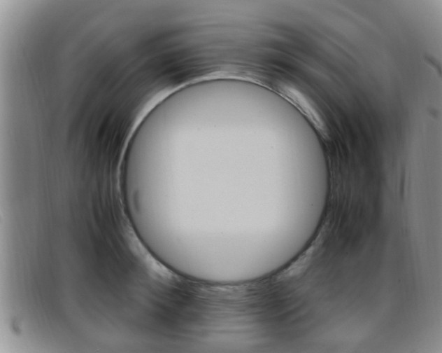 X0000096730900200802051126