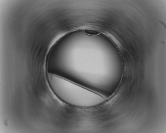 X0000096730902200802051126