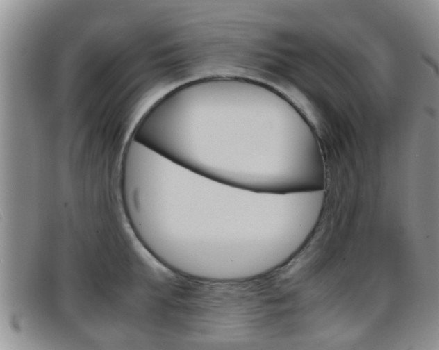 X0000096730903200802051126
