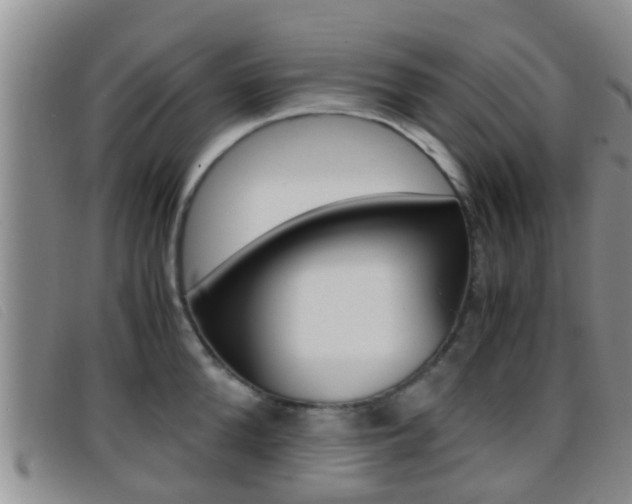 X0000096730904200802051126