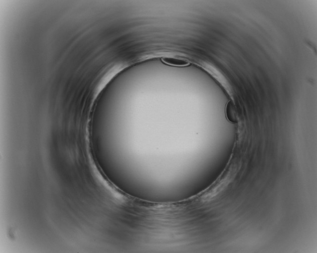 X0000096730906200802051126
