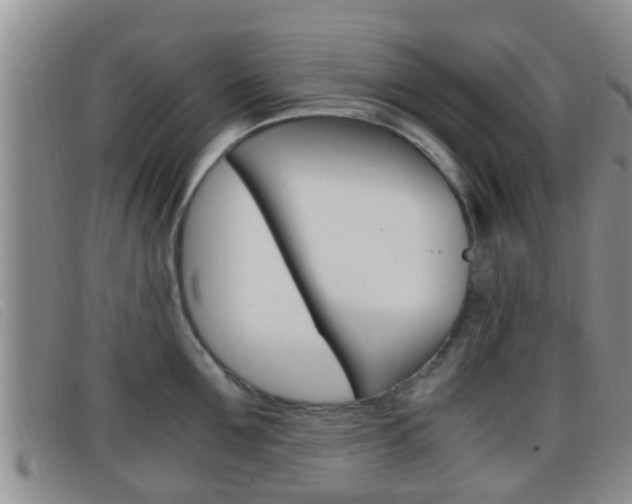 X0000096730907200802051126