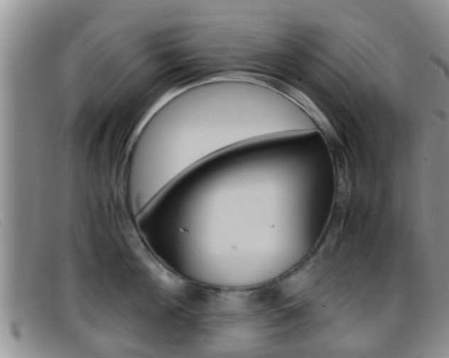 X0000096730908200802051126
