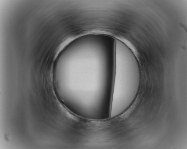 X0000096730910200802051126