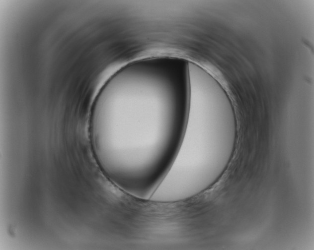 X0000096730912200802051126