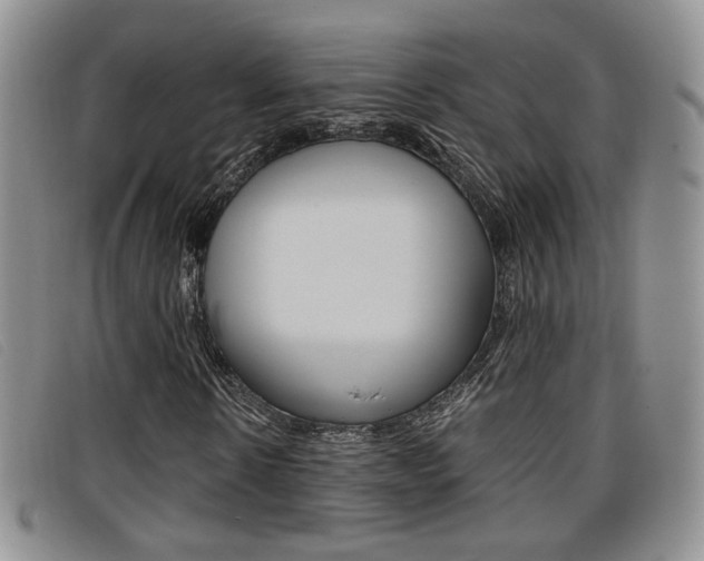 X0000096730914200802051125