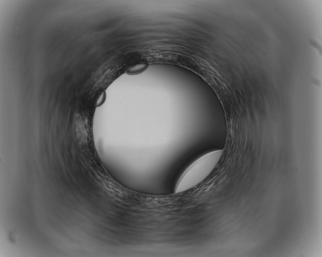 X0000096730915200802051125