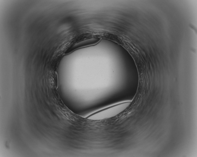 X0000096730916200802051125