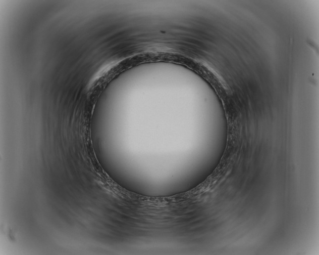 X0000096730919200802051125