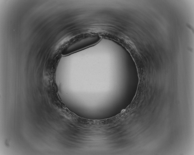 X0000096730920200802051125