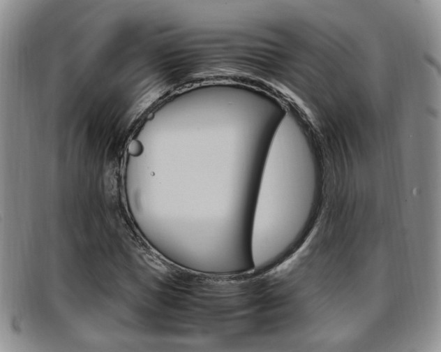 X0000096730921200802051125