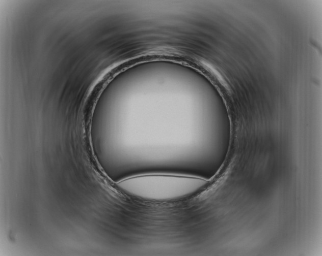 X0000096730923200802051125