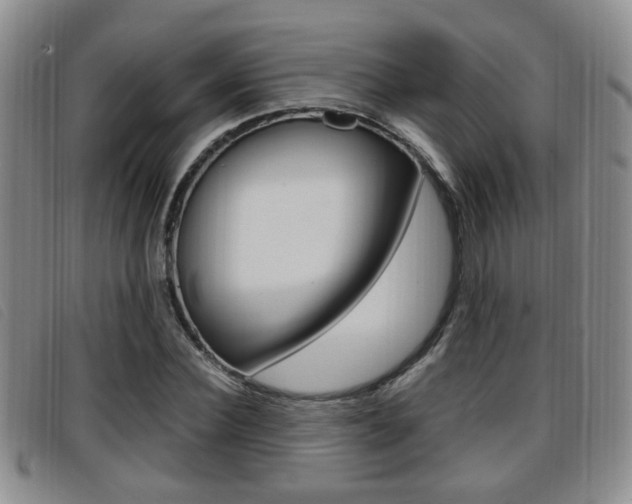 X0000096730924200802051125
