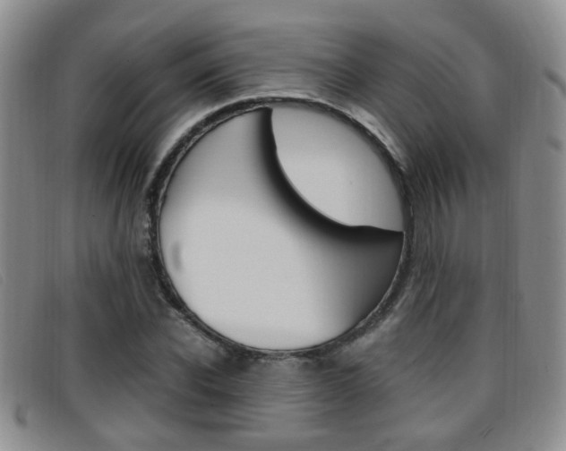 X0000096730926200802051125
