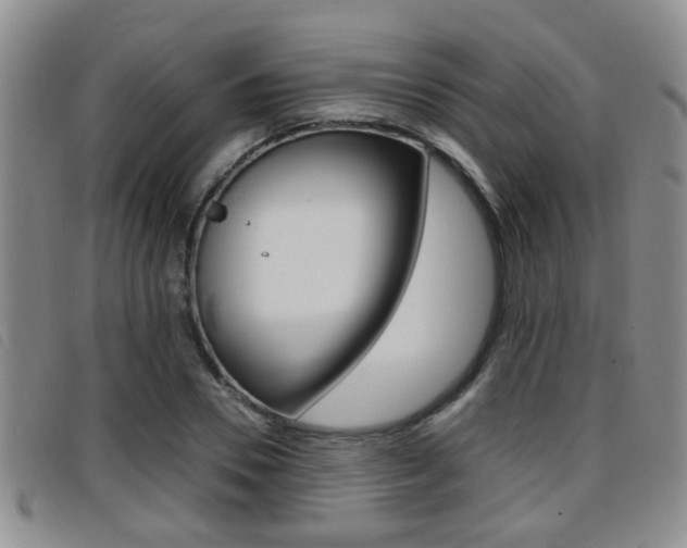 X0000096730930200802051125