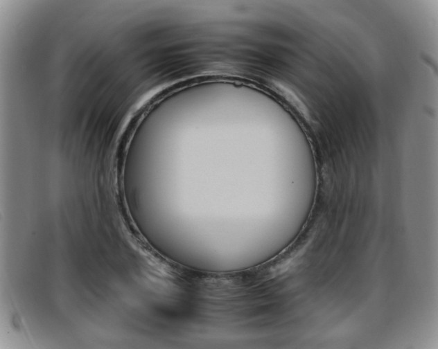 X0000096730931200802051125