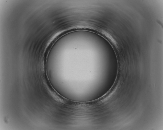 X0000096730934200802051125