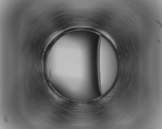 X0000096730935200802051125