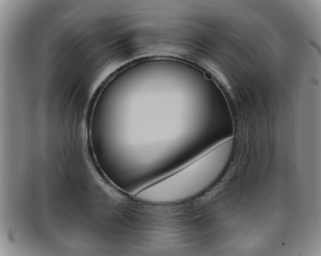 X0000096730936200802051125