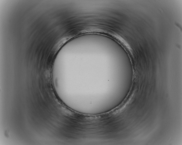 X0000096730937200802051125
