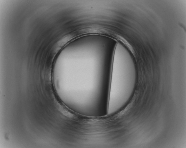 X0000096730938200802051125