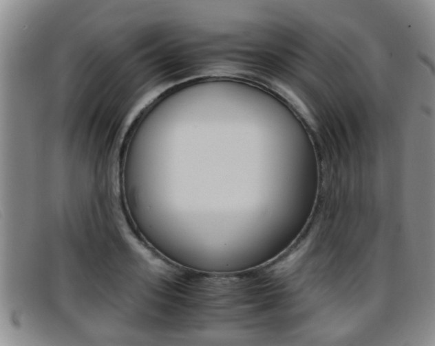 X0000096730939200802051125