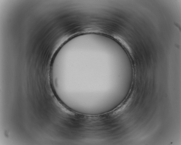 X0000096730941200802051125