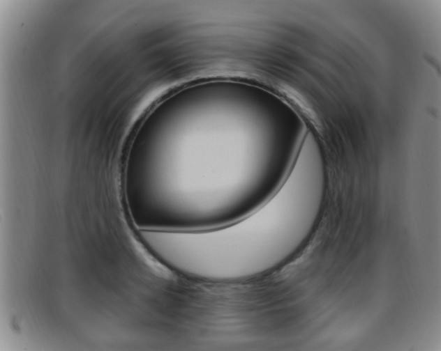 X0000096730942200802051125